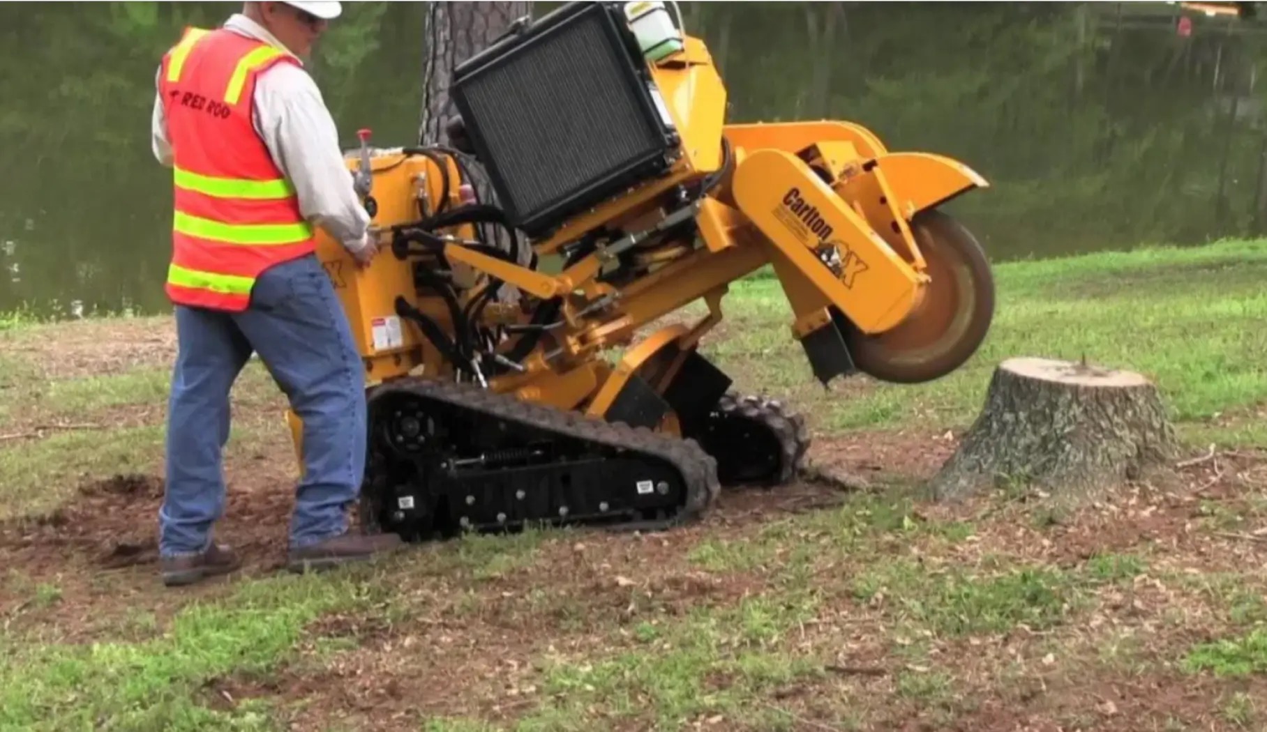 Stump Grinding